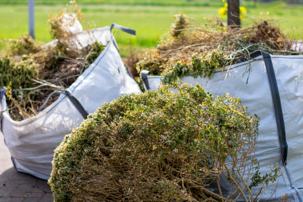 Best Residential Junk Removal  in Caseyvle, IL